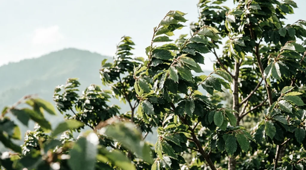 Simile for Trees Blowing in the Wind: 50+ Vivid Examples
